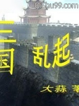 三国乱起小说