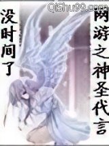 网游之神圣代言小说
