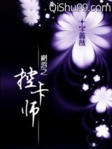 网游之控卡师小说