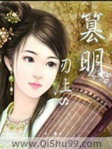 篡明小说