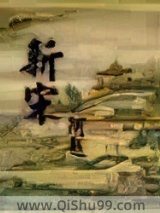 新宋小说