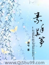 素手华筝小说