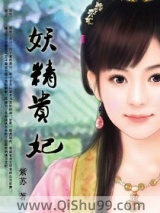 妖精贵妃小说