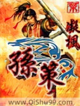 孙策小说