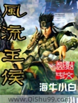 风流王侯小说