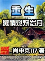 重生之激情燃烧岁月小说