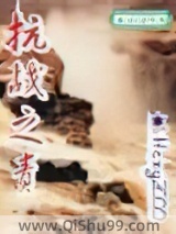抗战之责小说