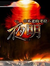 夜明小说