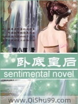 卧底皇后小说