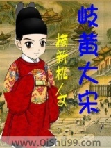 岐黄大宋小说
