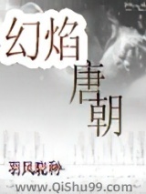 幻焰唐朝小说