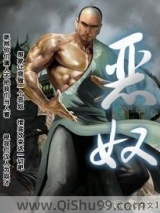 恶奴小说