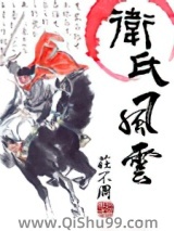 卫氏风云小说