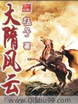 大隋风云小说