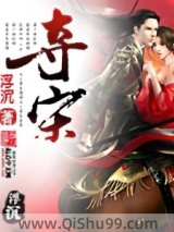 夺宋小说