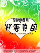 贤妻良母小说