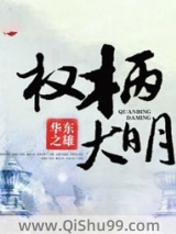 权柄大明小说