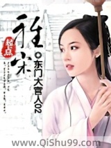 雅宋小说