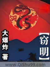 窃明小说
