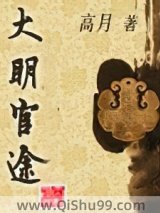 大明官途小说