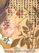 月沉吟小说