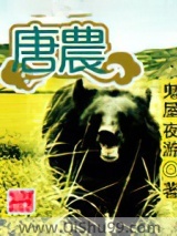 唐农小说