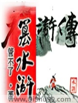 篡水浒小说