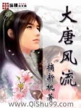 大唐风流小说