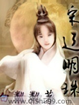 宋辽明珠小说