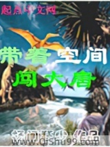 带着空间闯大唐小说