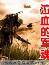 泣血的军魂小说