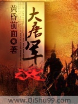 大唐军魂小说