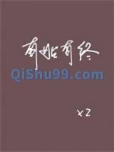 有始有终小说