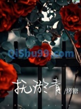 抚淤青小说