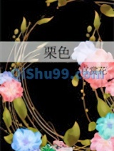 栗色小说
