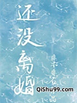 还没离婚小说