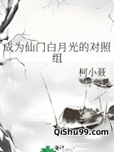 成为仙门白月光的对照组小说