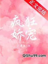 绝对娇宠小说