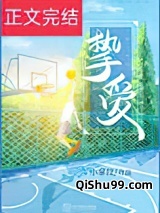 挚爱小说
