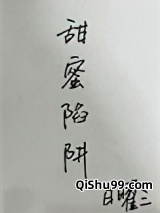 甜蜜陷阱小说