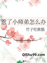惹了小师弟怎么办小说