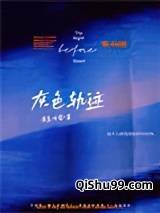 灰色轨迹小说