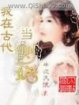 我在古代当侧妃小说