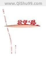 欲望之路小说