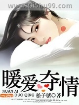 暖爱夺情小说