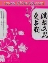 满朝文武爱上我小说
