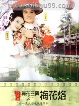 梅花烙小说
