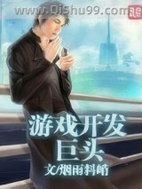 游戏开发巨头小说