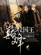 巅峰校园王小说