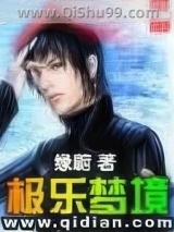 极乐梦境小说